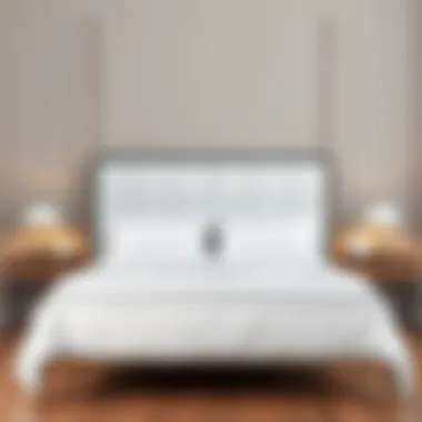 Contemporary Design: King Headboard and Metal Frame Contemporary king headboard paired with a sleek metal frame